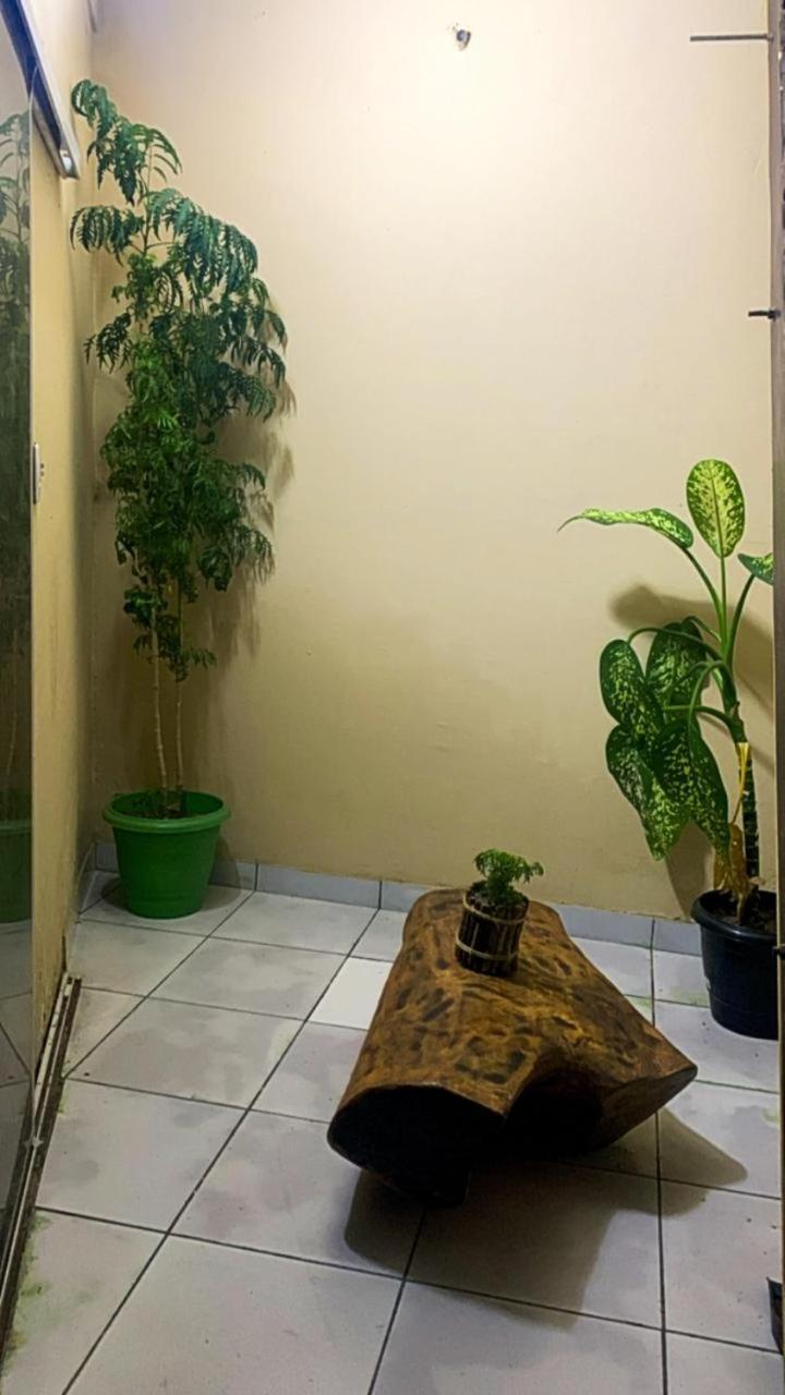 Pousada Shalom E Hostel Holly Land Santo Amaro do Maranhao Zewnętrze zdjęcie