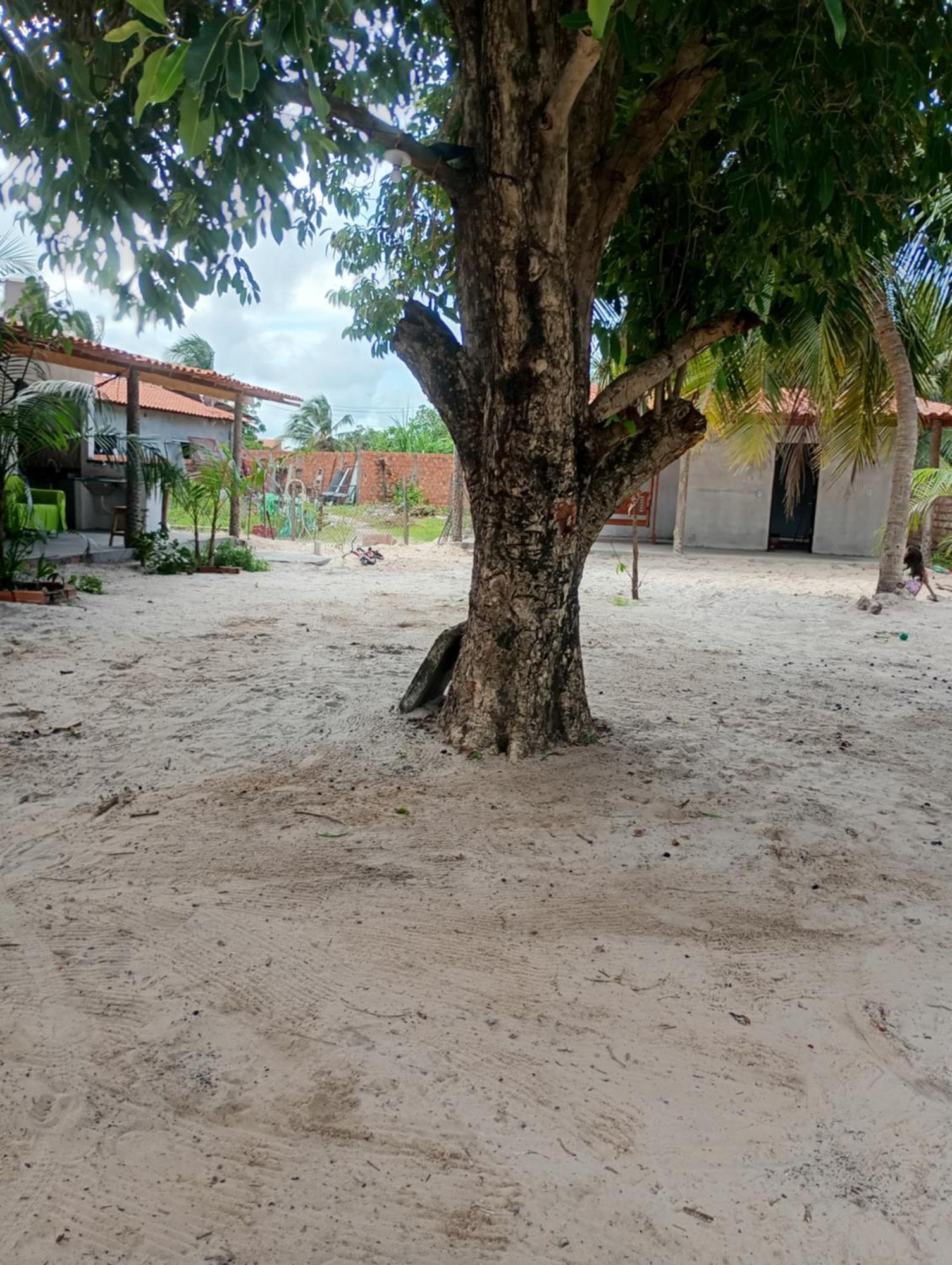 Pousada Shalom E Hostel Holly Land Santo Amaro do Maranhao Zewnętrze zdjęcie