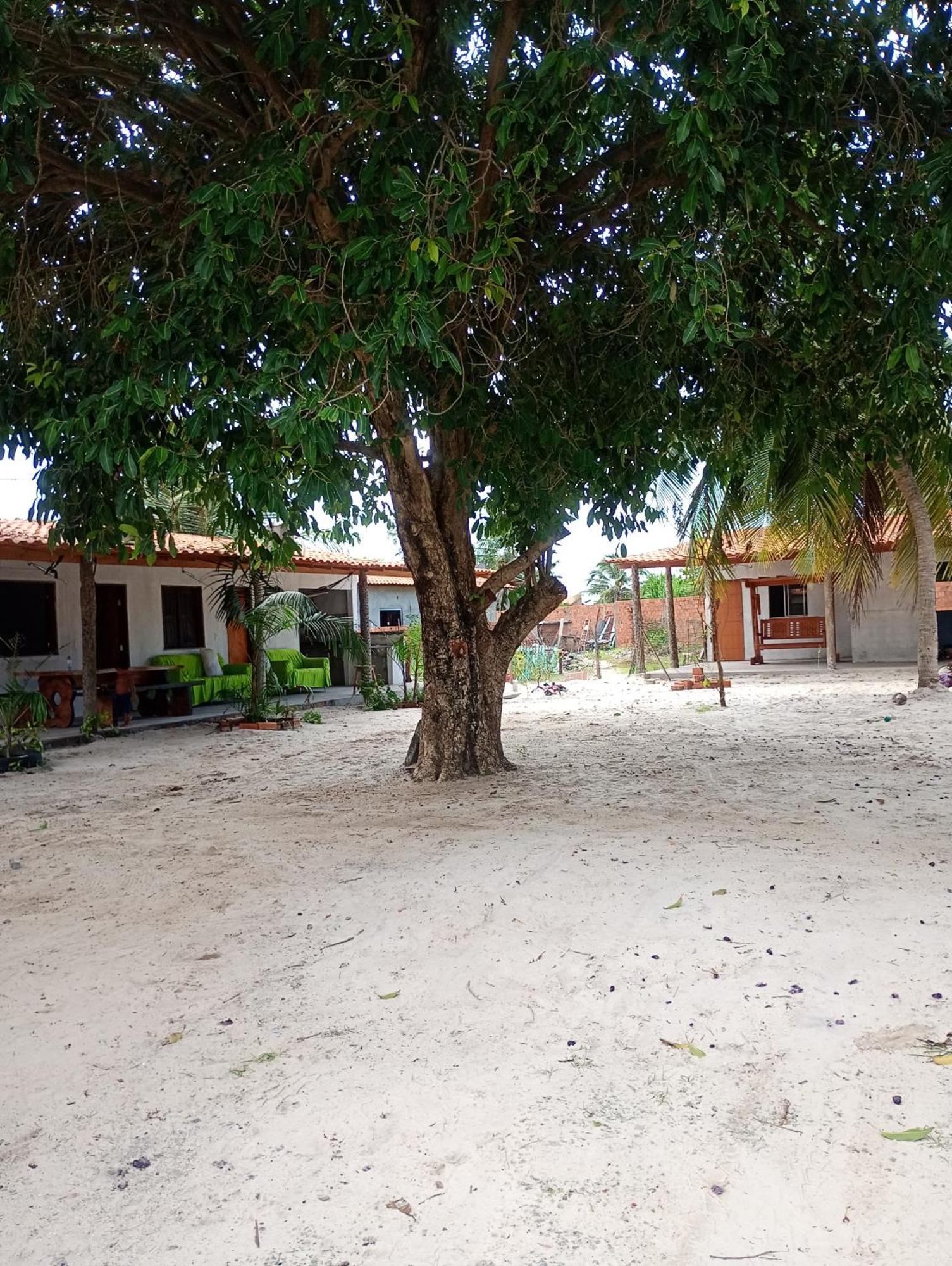 Pousada Shalom E Hostel Holly Land Santo Amaro do Maranhao Zewnętrze zdjęcie