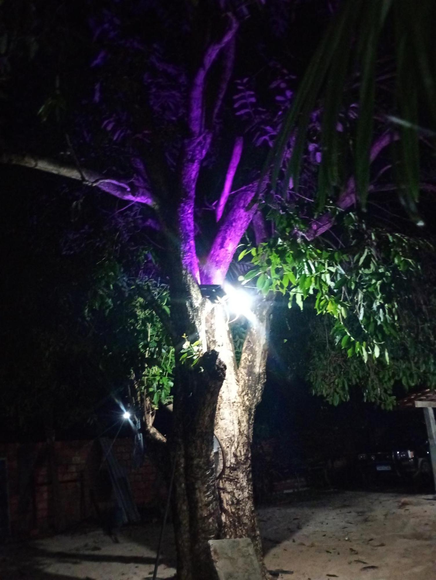 Pousada Shalom E Hostel Holly Land Santo Amaro do Maranhao Zewnętrze zdjęcie